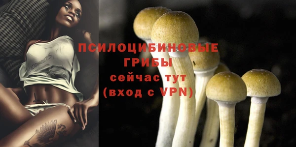 амфетамин Ладушкин
