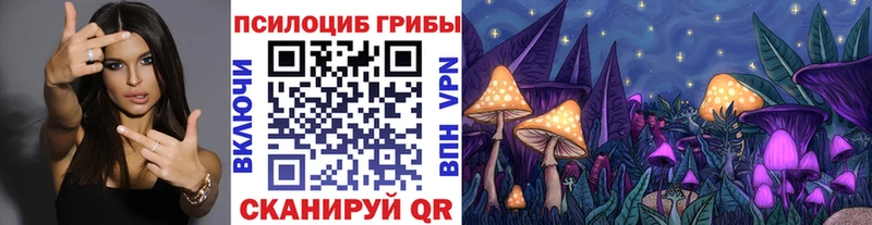 Псилоцибиновые грибы Cubensis  Купить закладки  Кяхта 